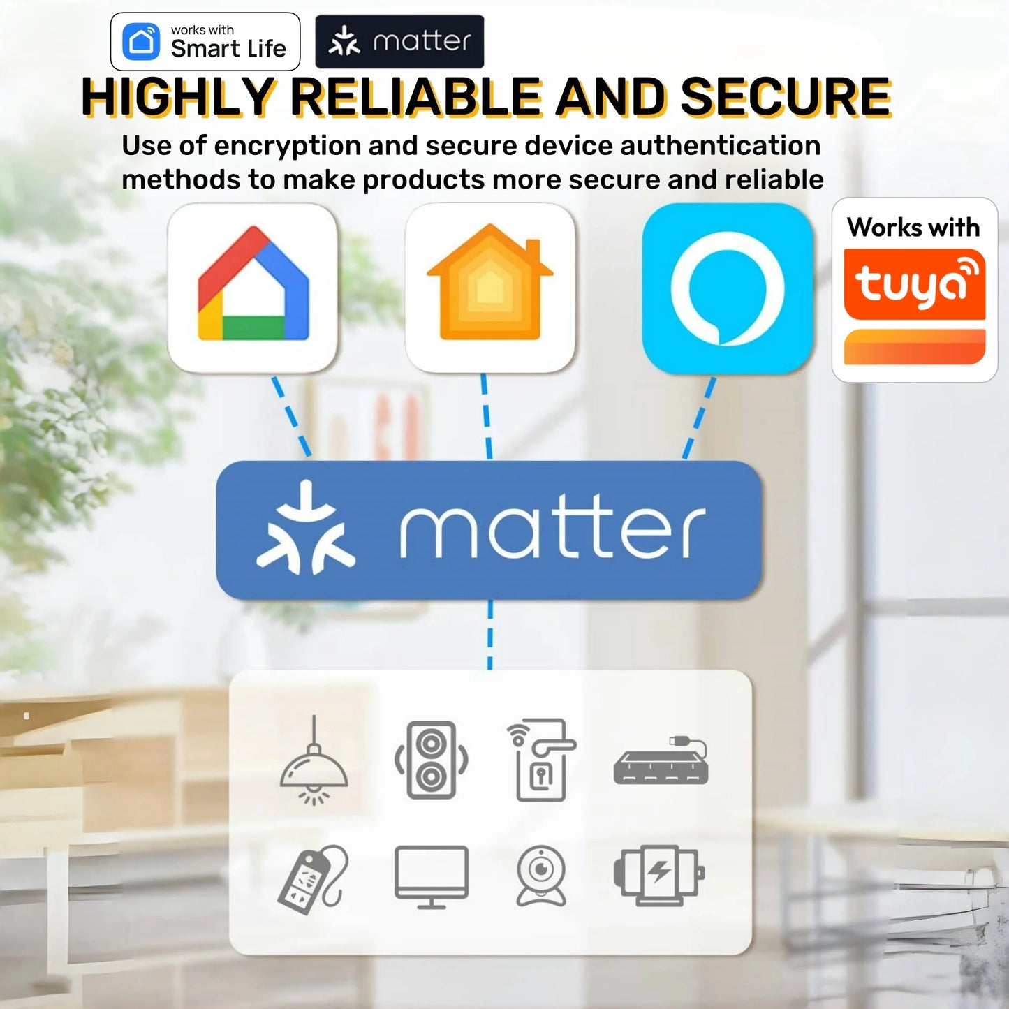 Matter WiFi Mini Smart Socket with Voice Control and Timing
