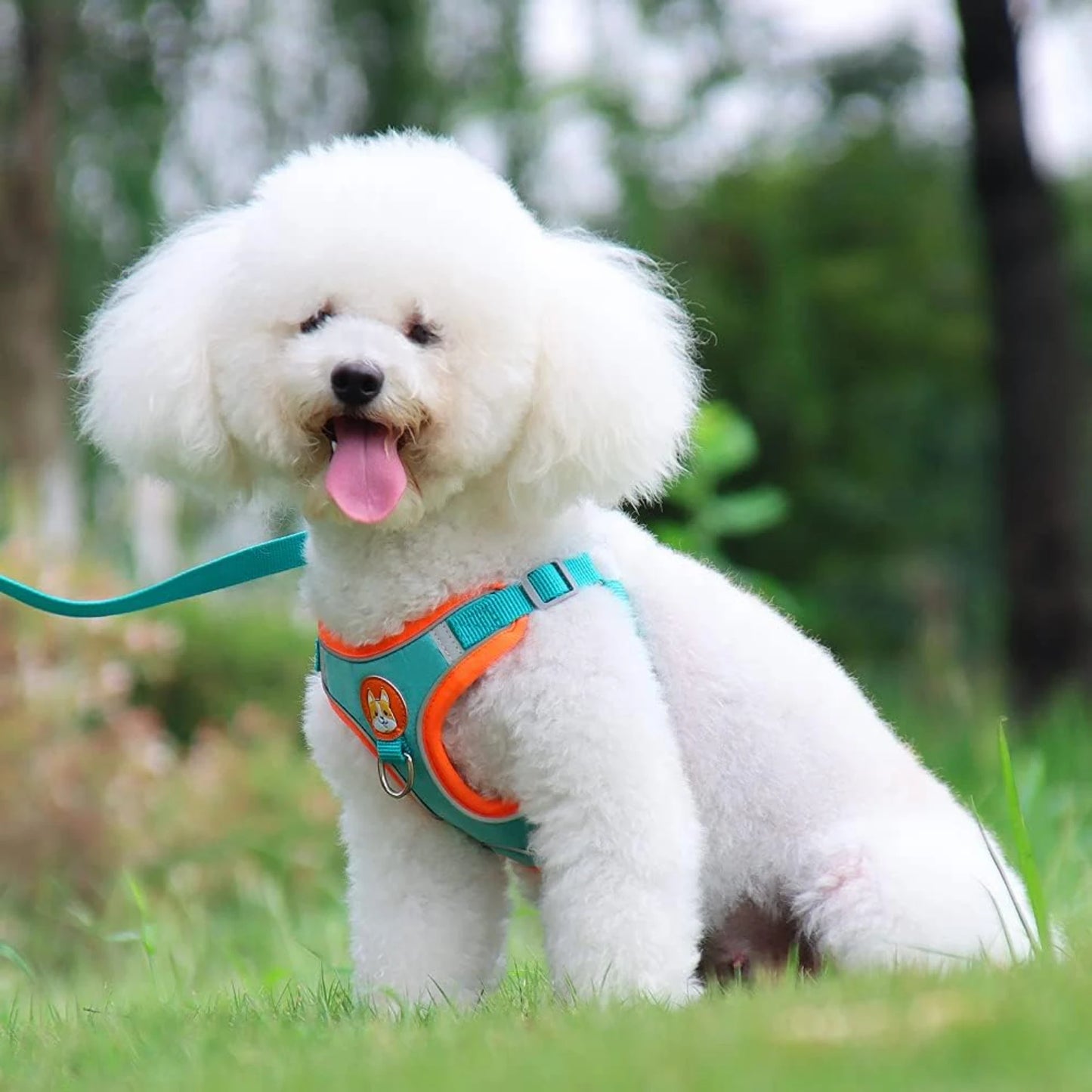 Soft Harness for Dogs No Pull Dog Harness and Leash Set Puppy Cat Step In Vest Harness with Reflective Strips for Small and Medium Dogs