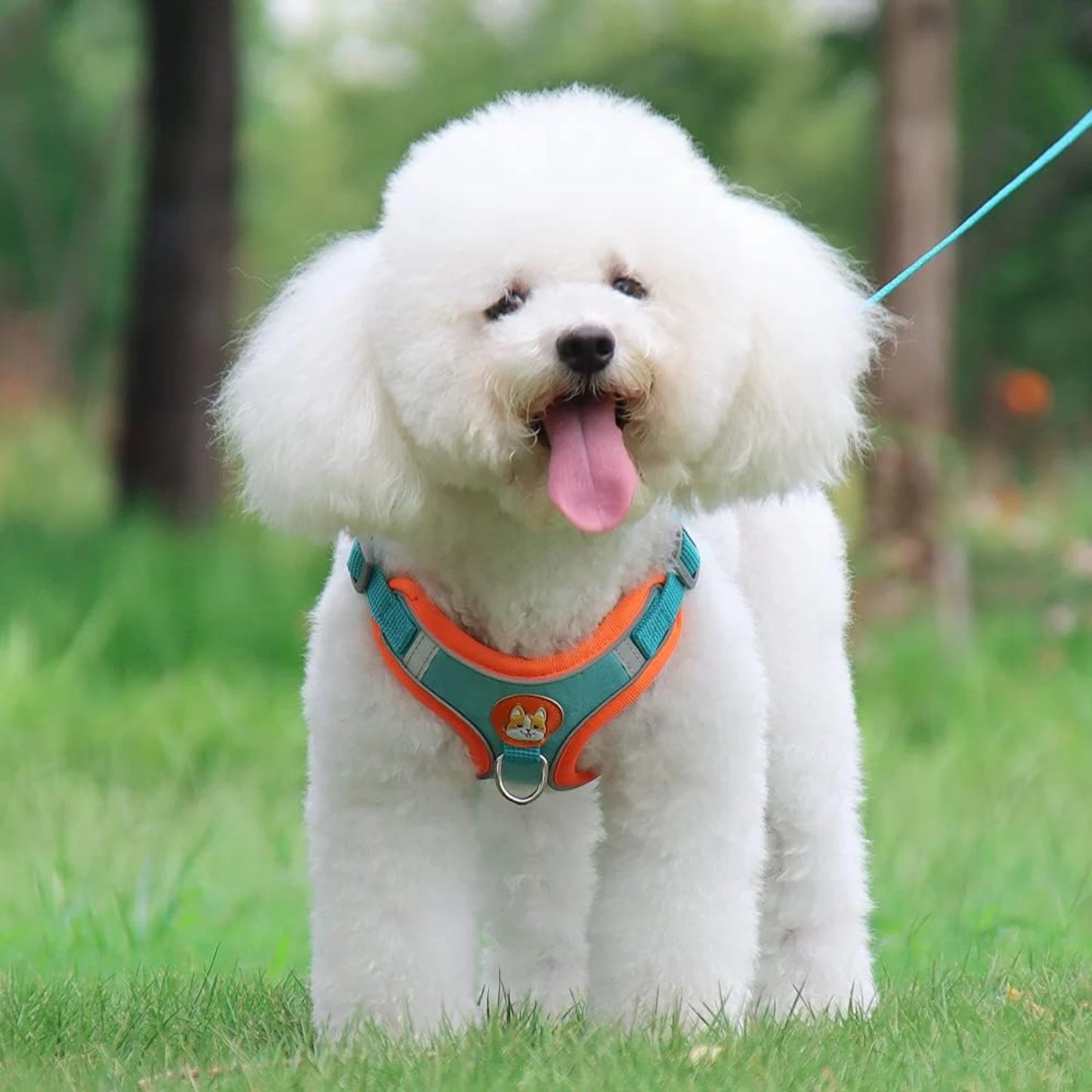 Soft Harness for Dogs No Pull Dog Harness and Leash Set Puppy Cat Step In Vest Harness with Reflective Strips for Small and Medium Dogs