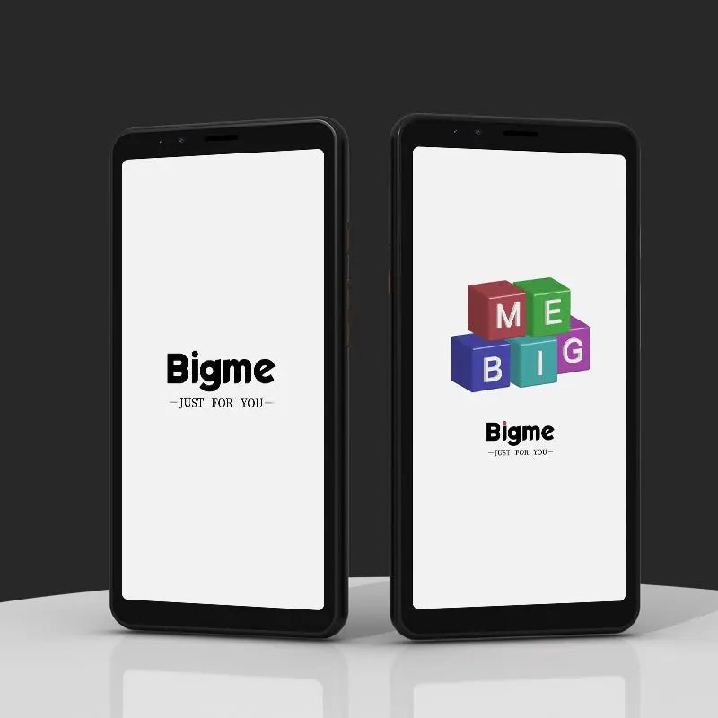 Bigme Hibreak E Ink Smartphone and Ebook Reader with Android Support