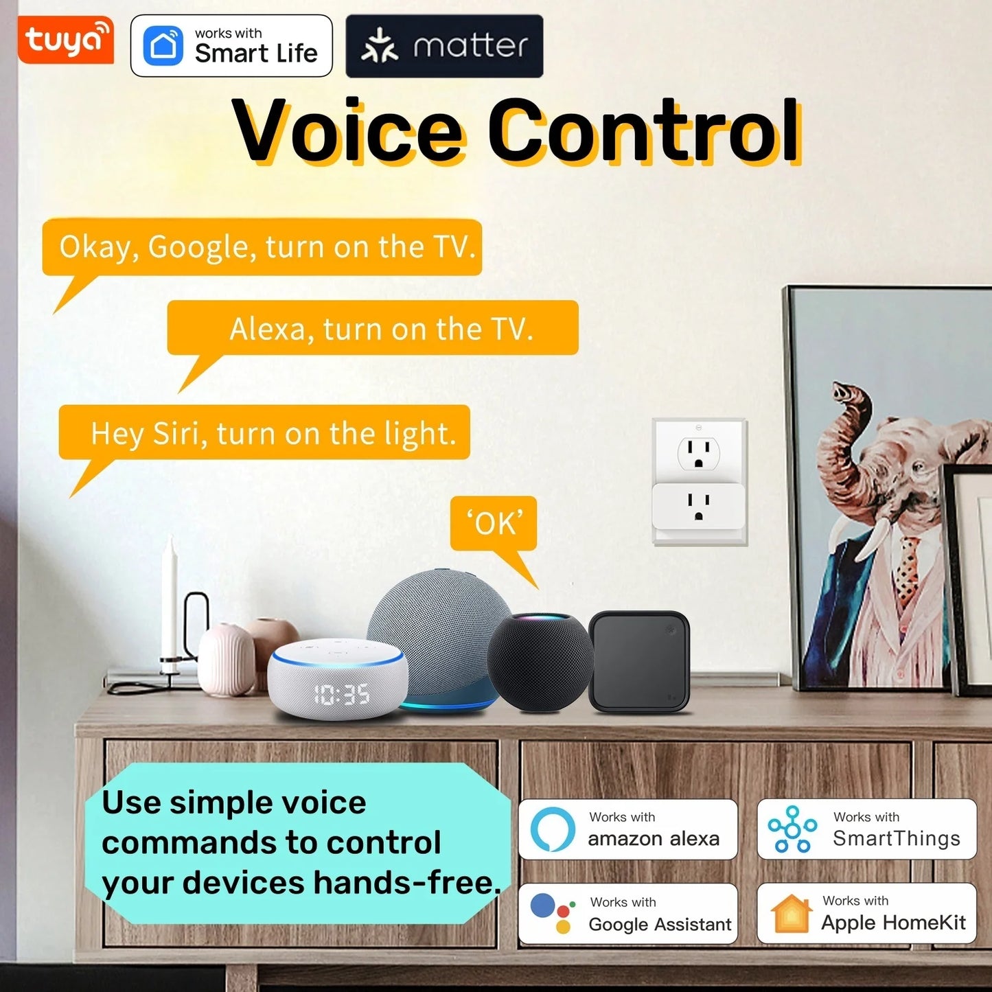 Matter WiFi Mini Smart Socket with Voice Control and Timing